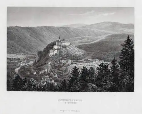 Schwarzburg Saale Originaler Stahlstich um 1870