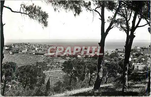 Cartes postales moderne 106 20 a banyuls vue generale