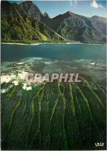Moderne Karte Tahiti Couleurs du Recif