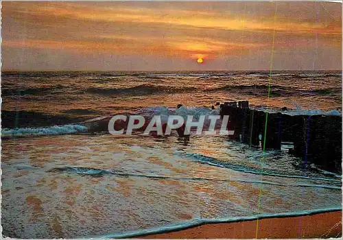 Cartes postales moderne Mer Coucher de Soleil Belgique