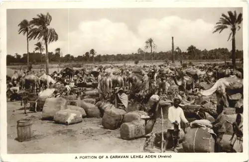 Aden - A Portion of a Caravan Lehej -697798