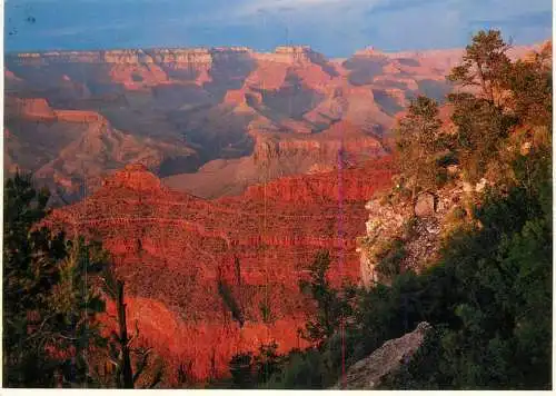 USA Grand Canyon National Park AZ