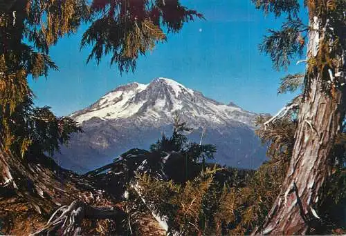 USA Mount Rainier WA picturesque mountain scenery