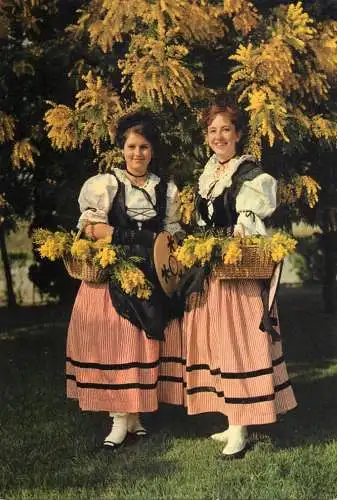 Folklore & traditions costumes de la cueillette du Mimosa