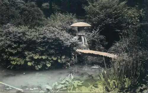 Batumi Georgia garden