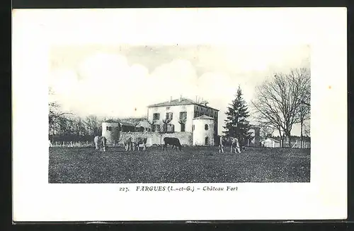 AK Fargues, Boeufs avant Chateau Fort
