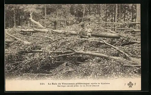 AK Vincennes, le Bois de pittoresque après le Cyclone, Ravage causè près de la Porte Jeune
