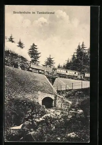 AK Brockenbahn durchfährt das Tumkuhlental