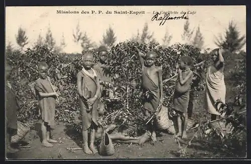 AK Mission des P. P. du Saint-Esprit, La Cueillette du Café, afrikanische Kinder auf der Kaffee Plantage