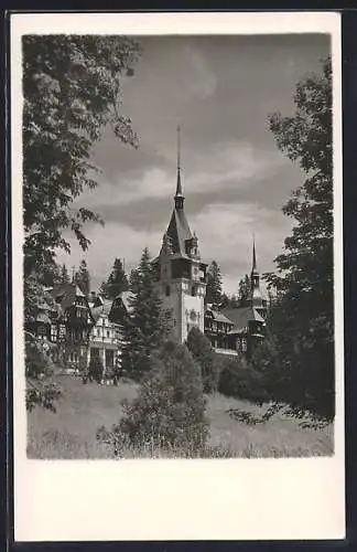 AK Sinaia, Castel Peles