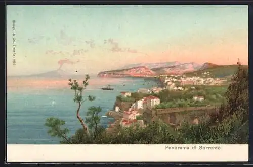 AK Sorrento, Panorama