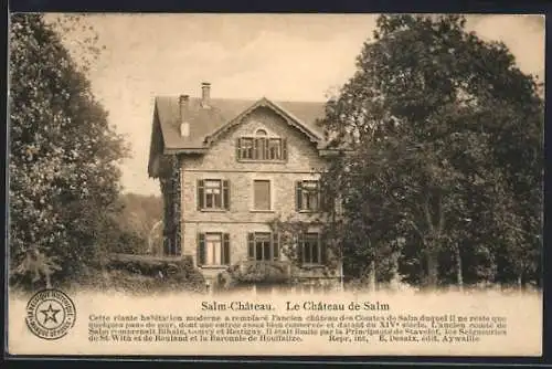 AK Salm-Château, Le Château de Salm