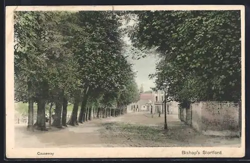 AK Bishop`s Stortford, Causeway