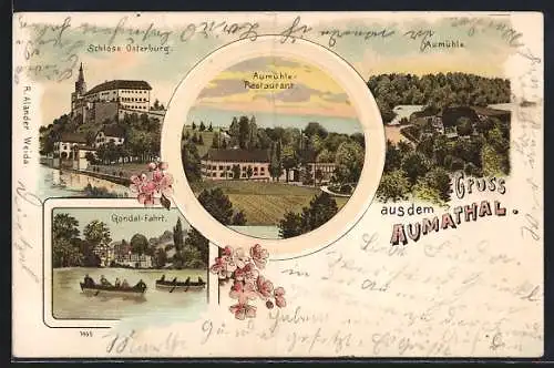Lithographie Weida / Thür., Aumühle Restaurant, Schloss Osterburg