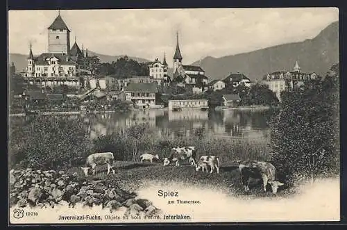 AK Spiez, Ortpartie mit Thunersee