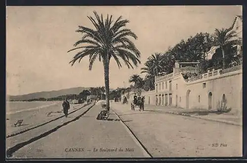 AK Cannes, Le Boulevard du Midi