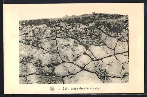 AK Le Condroz, Sol: coupe dans le calcaire