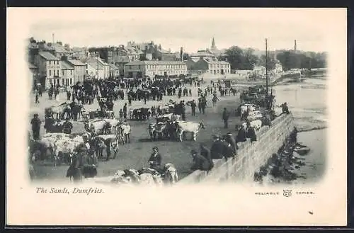AK Dumfries, The Sands with cattle
