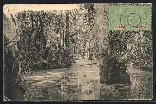 AK Gabon, Le poto poto en foret
