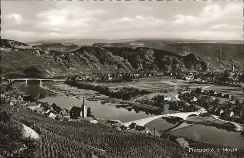 Piesport Mosel  x