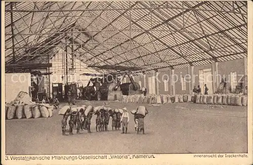 Kamerun Afrika Westafrikanische Pflanzungs  Gesellschaft Viktoria Trockenhalle Kat. Afrika