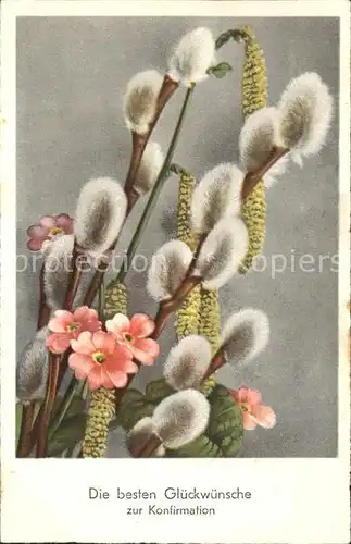 Konfirmation Glueckwunsch Weidenkaetzchen Blumen Kat. Feiern und Feste