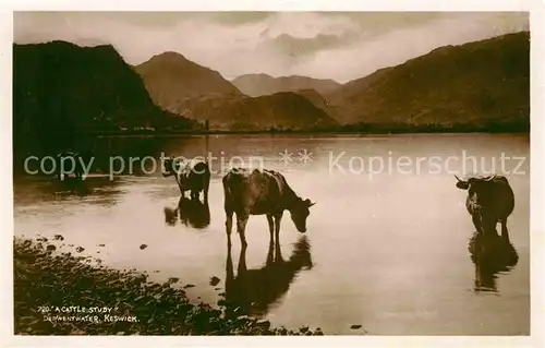 AK / Ansichtskarte Keswick Kuehe am Wasser Kat. Allerdale