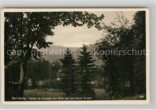 AK / Ansichtskarte Salzig Bad Kurpark Feindliche Brueder Kat. Boppard