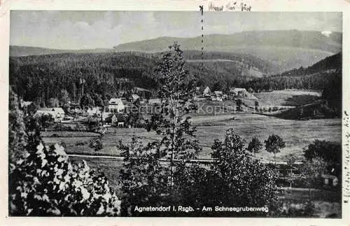 AK / Ansichtskarte Agnetendorf  Jagniatkow Jelenia Gora Riesengebirge PL Am Schneegrubenweg