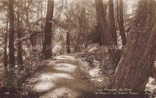 AK / Ansichtskarte Mayens-de-Sion Herens VS le Chemin du Grand Bisse